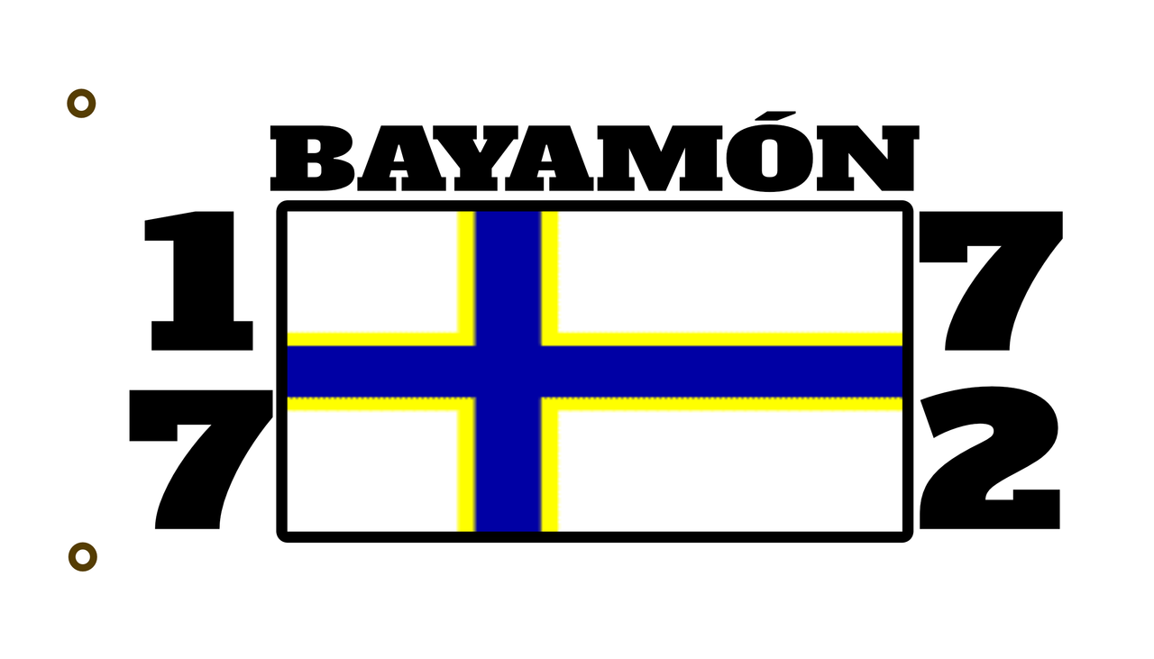 Bayamon 3x5 foot Nylon Flag