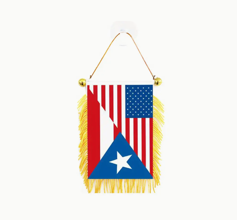 Gold Trim Mirror Flag American Puerto Rican