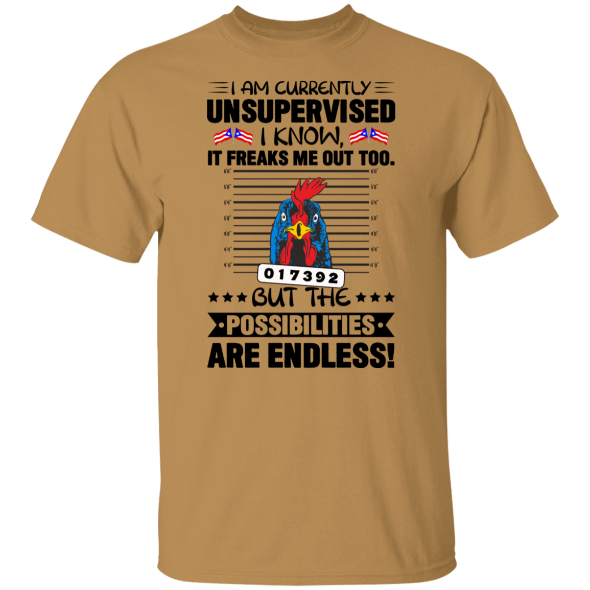 I am currently unsupervised t shirt sales