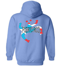 Thumbnail for Coqui Old Style Puerto Rico Flag Hoodie (back image)