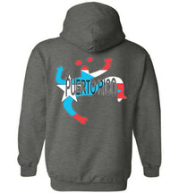 Thumbnail for Coqui Old Style Puerto Rico Flag Hoodie (back image)
