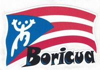 Thumbnail for Boricua Coqui Flag Decal
