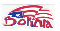 Thumbnail for Boricua Flag Decal - Puerto Rican Pride