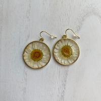 Thumbnail for Round Real Daisy Resin Filled Earrings