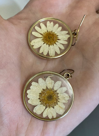 Thumbnail for Round Real Daisy Resin Filled Earrings