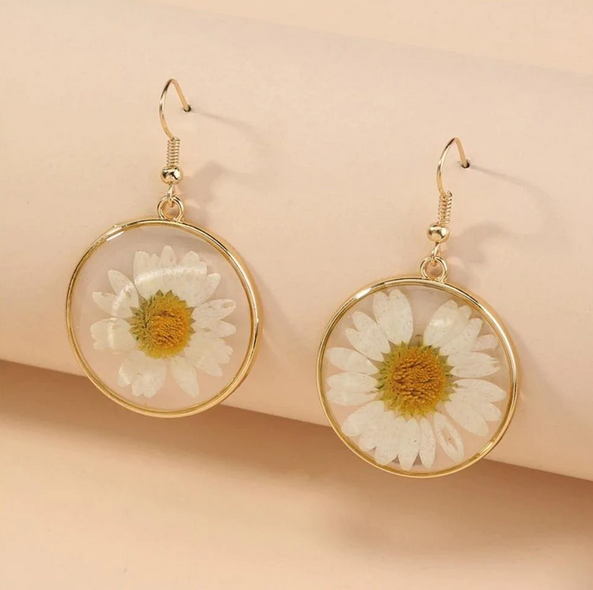 Round Real Daisy Resin Filled Earrings