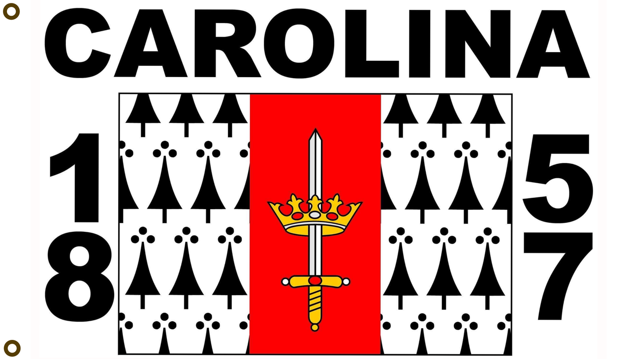 Carolina 3x5 foot Nylon Flag