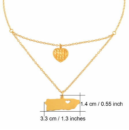 Dual Chain Heart Pendant Necklace