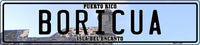 Thumbnail for Boricua Wall, Fence or Street Sign