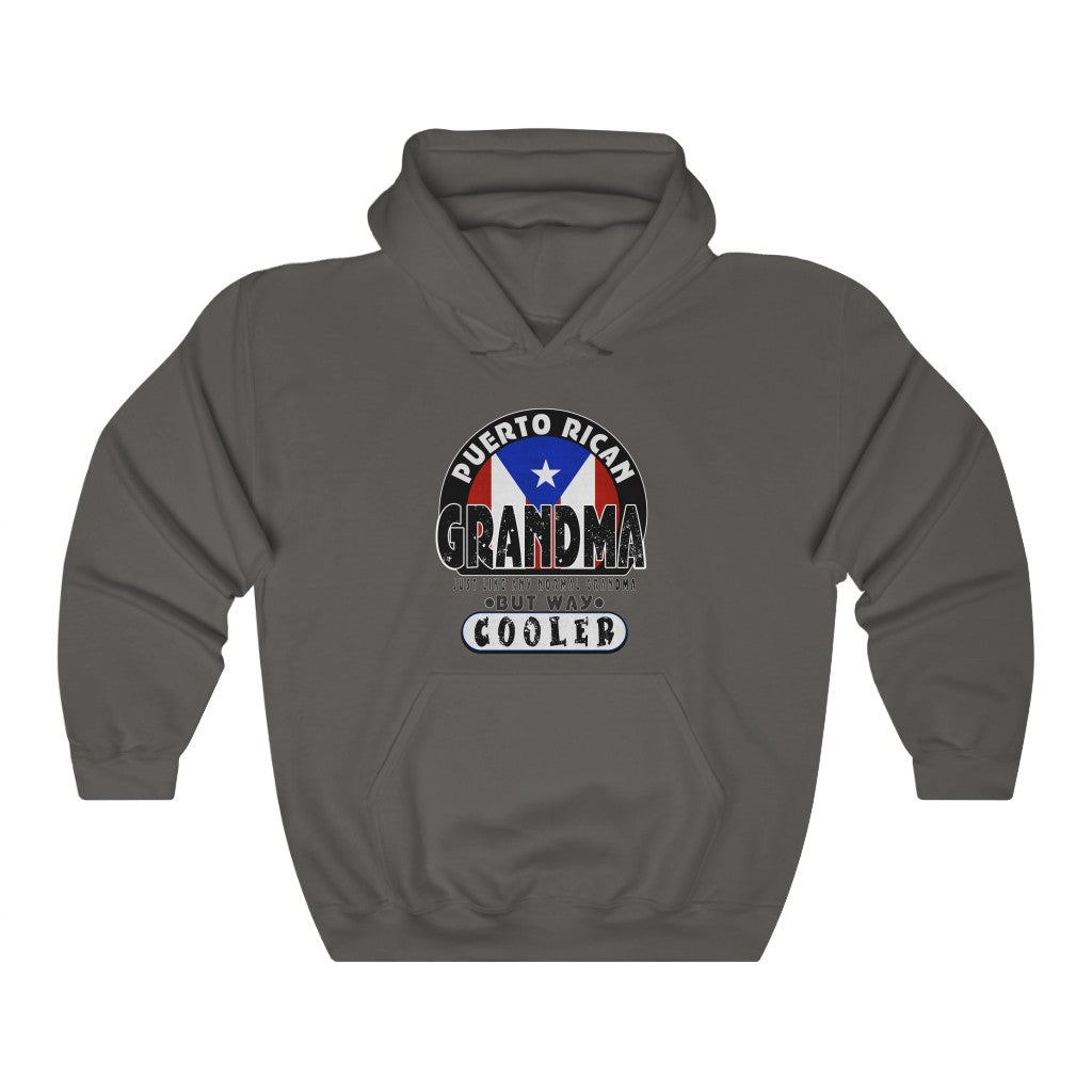 Cool Grandma Unisex Heavy Blend™ Hooded Sweatshirt