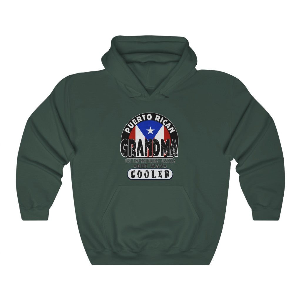 Cool Grandma Unisex Heavy Blend™ Hooded Sweatshirt