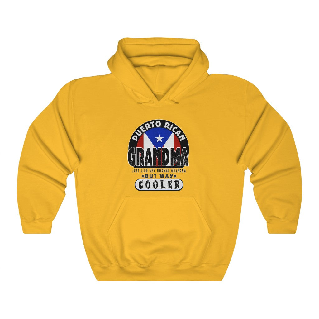 Cool Grandma Unisex Heavy Blend™ Hooded Sweatshirt