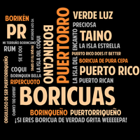 Thumbnail for Shirt - All About Boricuas