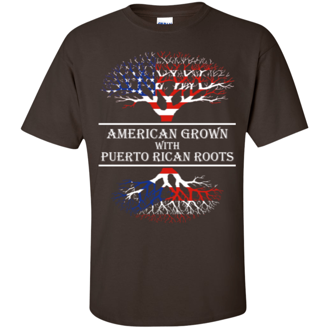 Youth Tee - American With Puerto Rican Roots - Youth